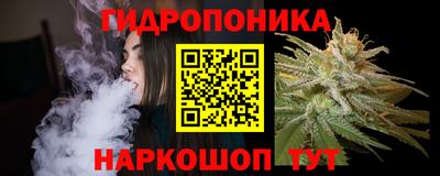 гидра Анжеро-Судженск