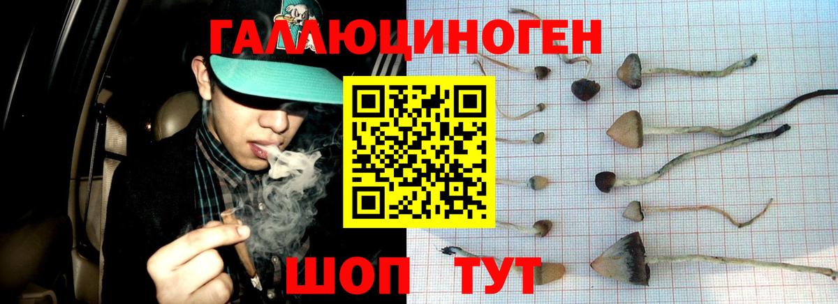 Галлюциногенные грибы GOLDEN TEACHER Альметьевск