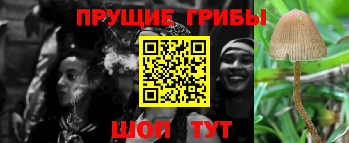 Альметьевск  Галлюциногенные грибы ЛСД  Вход с VPN 